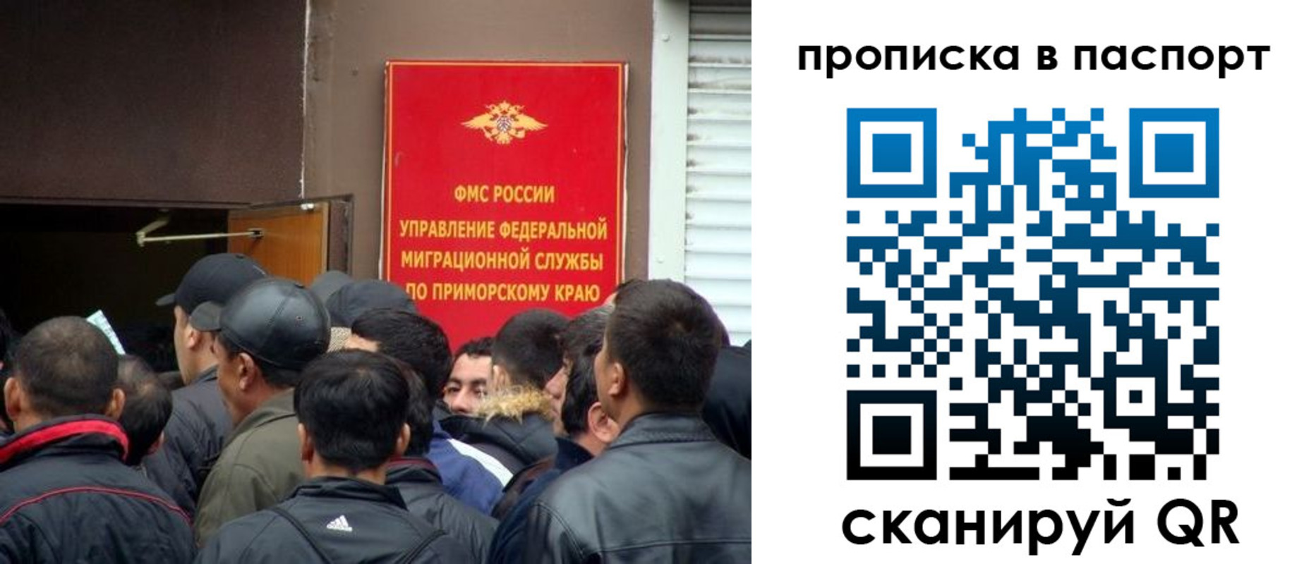 прописка поиск в Подольске