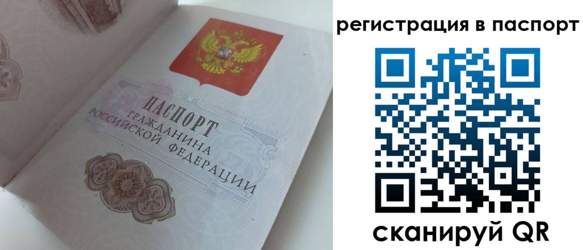 прописка регистрация в Подольске